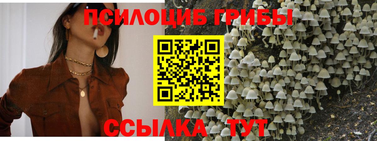 Галлюциногенные грибы Magic Shrooms Надым