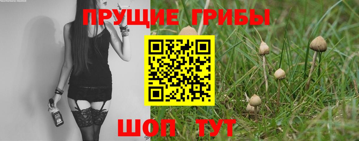 Псилоцибиновые грибы Psilocybine cubensis  наркошоп  Надым  Вход с VPN  Галлюциногенные грибы MAGIC MUSHROOMS 